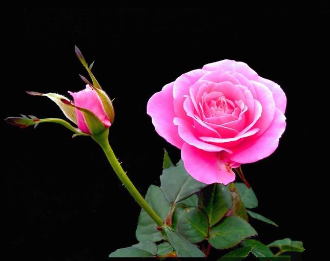 20110725085956_image888.jpg